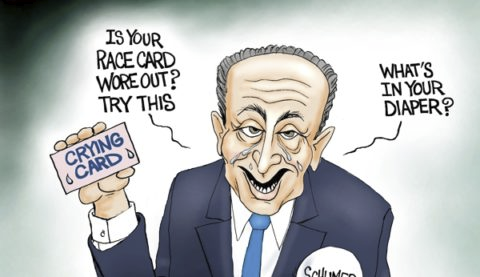 Schmuck Chuck Schumer