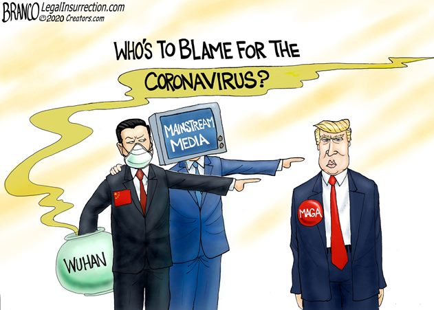 WHO is to Blame