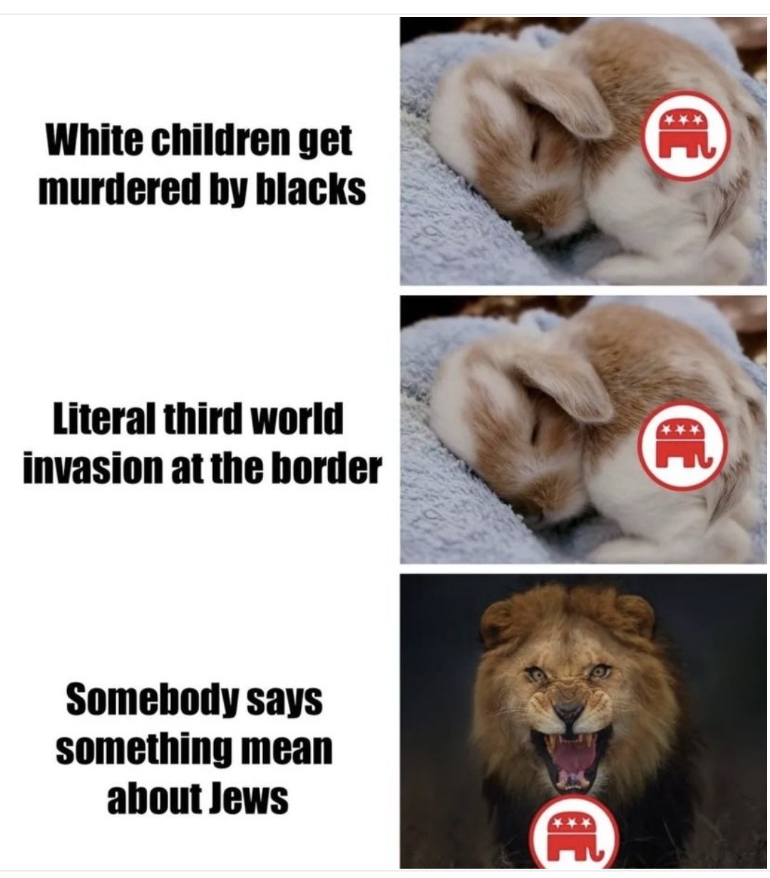 Don't talk mean about Jews